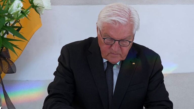 Union und SPD drängen auf schnelle Steinmeier-Nachfolge