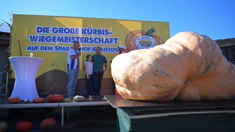 Brandenburgs schwerster Kürbis wiegt 942,2 Kilogramm
