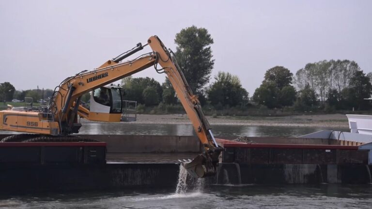Rhein-Niedrigwasser: Rekordtiefs und wirtschaftliche Folgen