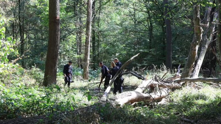 Polizei sucht nach Strom-Sabotage-Verdächtigem im Hambacher Forst