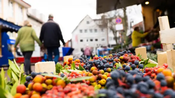 Veranstaltungen in Osnabrück und Umgebung am Mittwoch, 16. September 2026