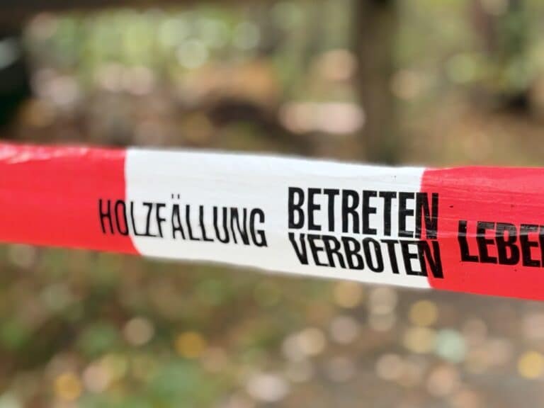 Holzfällarbeiten im Natruper Holz Osnabrück