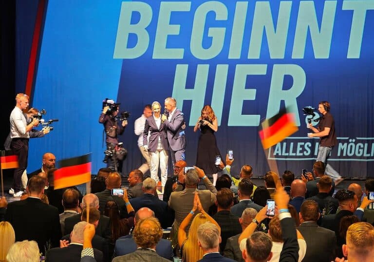 AfD-Wahlparty (Archiv)