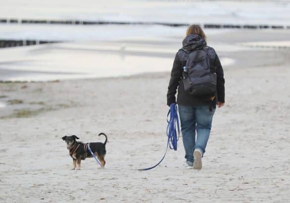 Strand (Archiv)