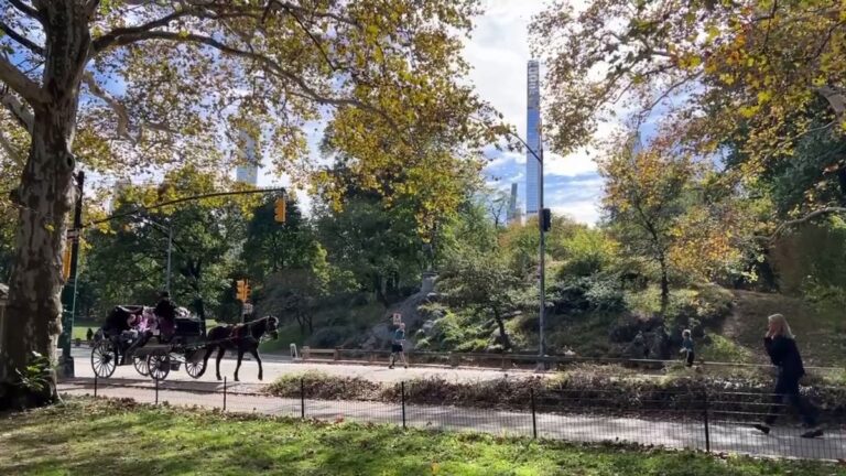 New York verbietet Pferdekutschen im Central Park