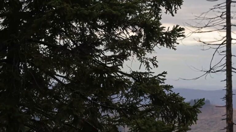 Herbststurm „Luise“ verursacht Schäden und Verletzte