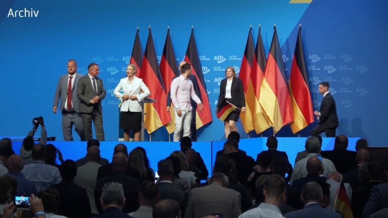 AfD-Spitze will E-Mail-Leak «lückenlos aufklären»