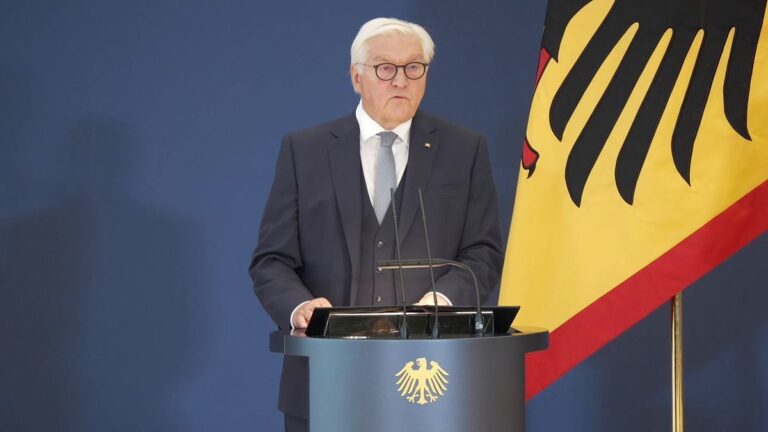 Steinmeier-Nachfolge