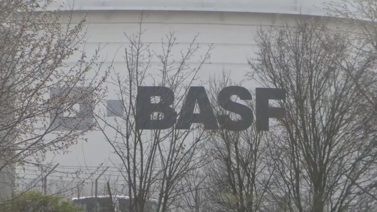 BASF steigert Gewinn und baut Tausende Stellen ab