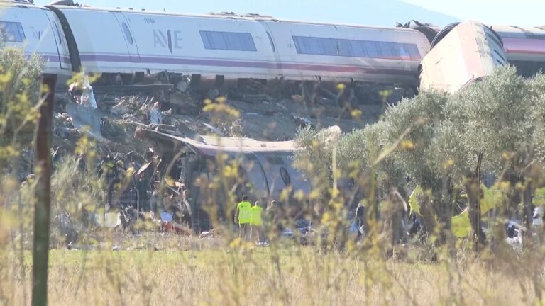 Mehrere Waggons stürzten einen Bahndamm hinunter