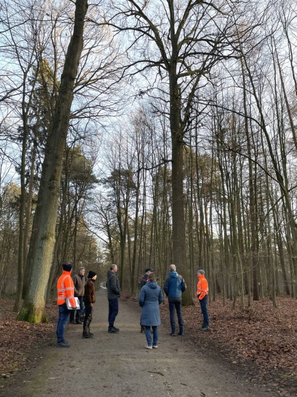 Eine Gruppe von Menschen, zwei davon in orangefarbenen Warnjacken, steht auf einem breiten Waldweg zwischen hohen, kahlen Laubbäumen im Natruper Holz.