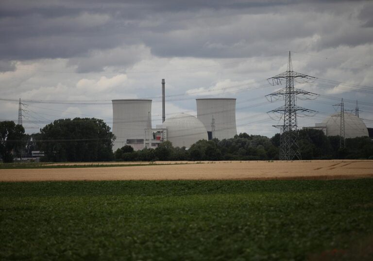 Atomkraftwerk mit Kühltürmen hinter einem Feld (Symbolbild)