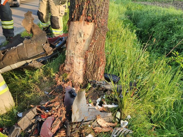 Symbolbild: Unfall mit einem Baum