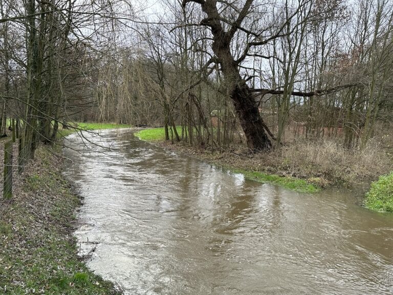 Die Düte fließt als Bach durch Osnabrück-Hellern