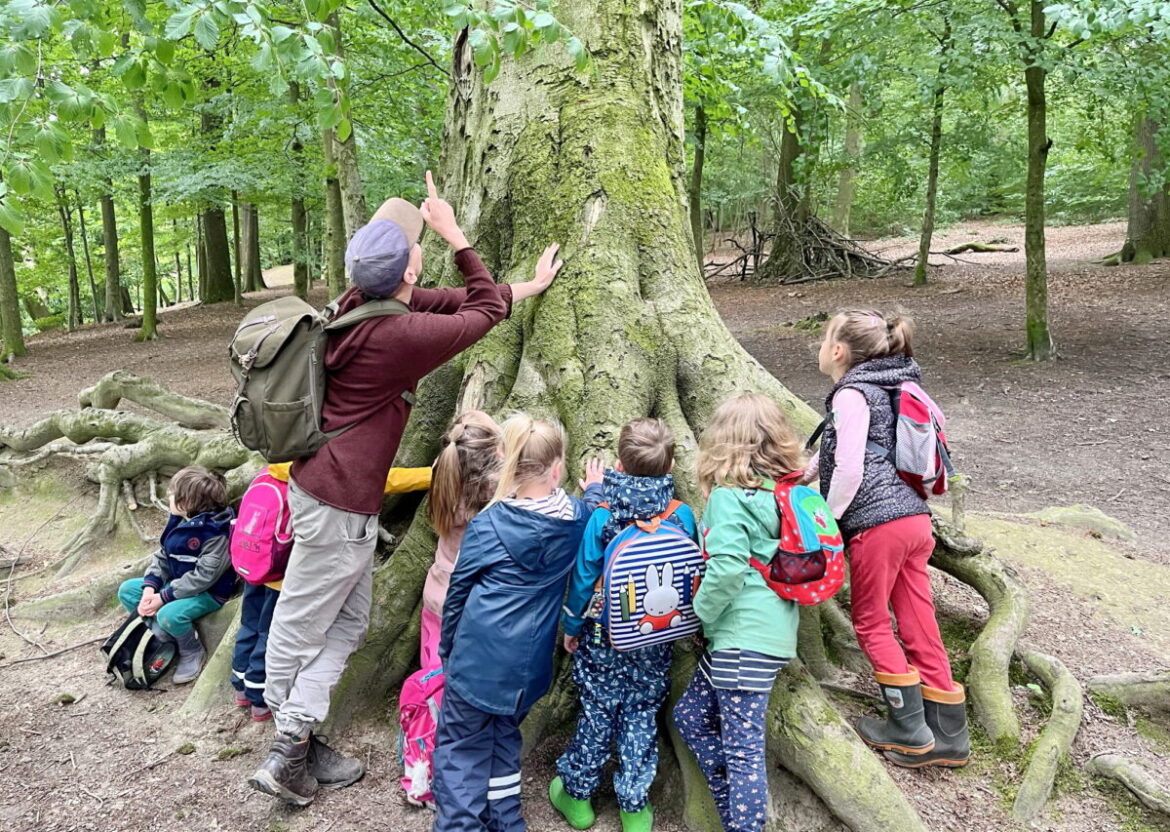 Ferienpass 2024 - Im Wald mit Rabe Rudi