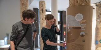 Am Pilztelefon in der Dauerausstellung des Museums am Schölerberg erfährt man, wie Pilze und Bäume miteinander kommunizieren. / Foto: Angela von Brill