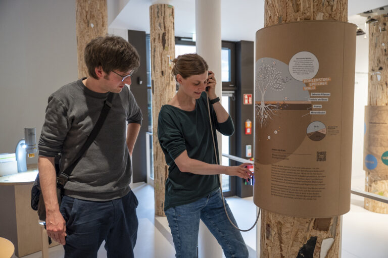 Am Pilztelefon in der Dauerausstellung des Museums am Schölerberg erfährt man, wie Pilze und Bäume miteinander kommunizieren. / Foto: Angela von Brill