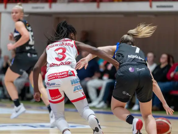 GiroLive Panthers vs. Eigner Angels Nördlingen