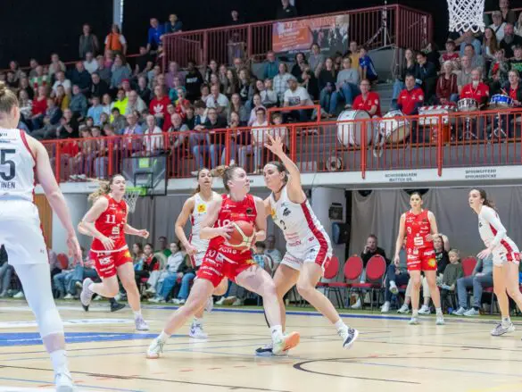 GiroLive Panthers vs. TK Luchse Hannover (2. Spiel der Playoffs)