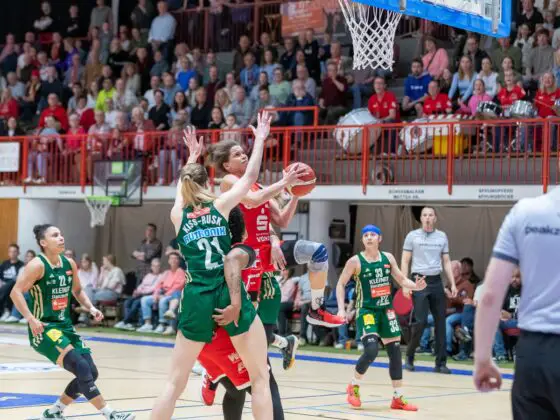 GiroLive Panthers Osnabrück vs. Rutronik Stars Keltern