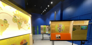 BananaRama-Ausstellung / Foto: Raumsektor GmbH