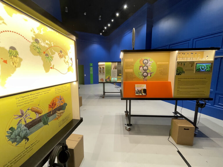 BananaRama-Ausstellung / Foto: Raumsektor GmbH