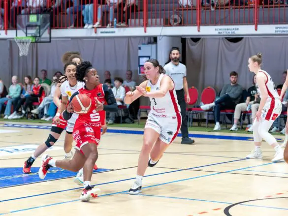 GiroLive Panthers vs. TK Luchse Hannover (2. Spiel der Playoffs)