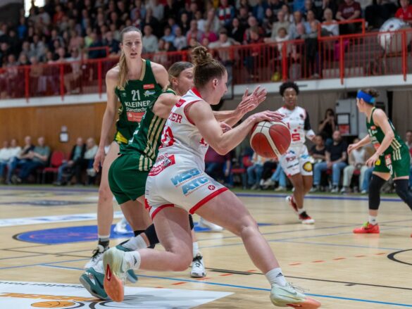 GiroLive Panthers Osnabrück vs. Rutronik Stars Keltern