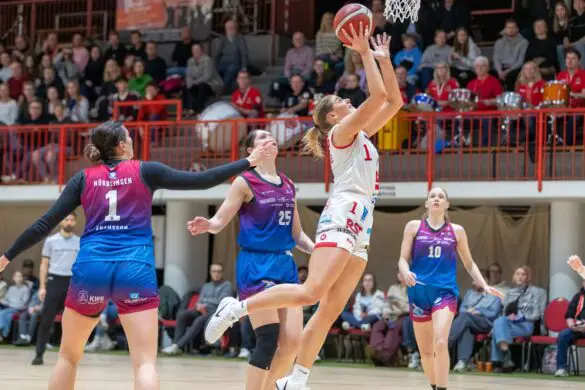 GiroLive-Panthers gegen Nördlingen