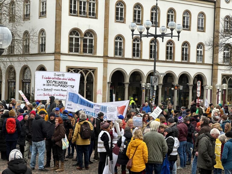 Fridays for Future am 14. Februar 2025. / Foto: Mika Lindenborn