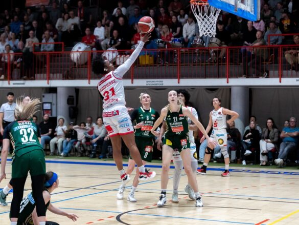 GiroLive Panthers Osnabrück vs. Rutronik Stars Keltern