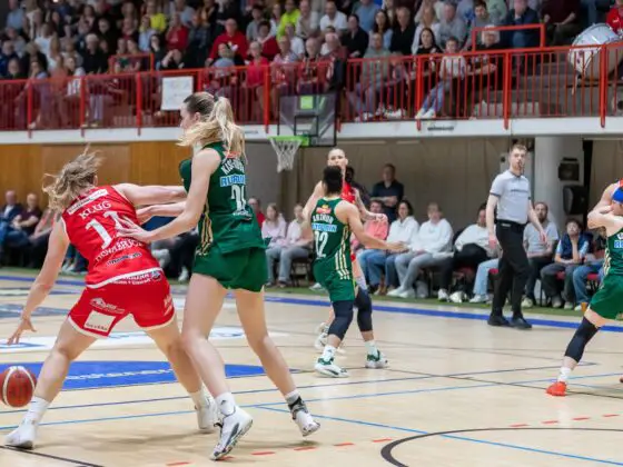 GiroLive Panthers Osnabrück vs. Rutronik Stars Keltern