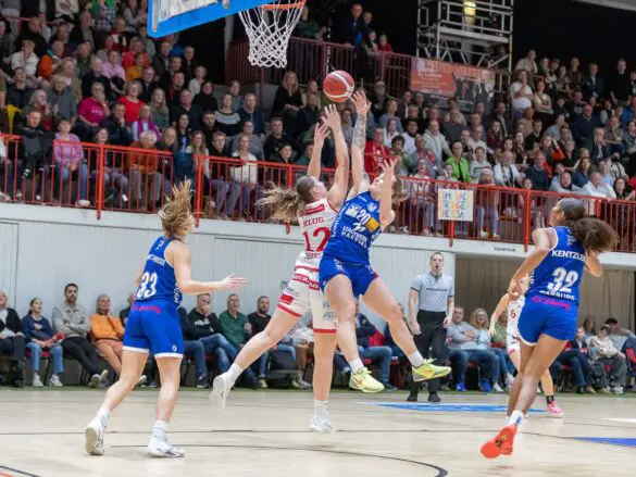 GiroLive Panthers vs. BC Pharmaserv Marburg Blue Dolphins am 26.10.2025. / Foto: Alexander Reinhard