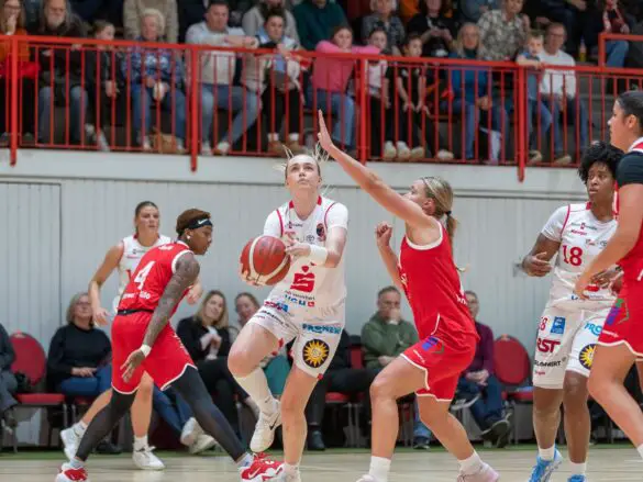 GiroLive-Panthers vs. TC Herne 1880. / Foto: Alexander Reinhard in Osnabrück (Gesamtstadt)