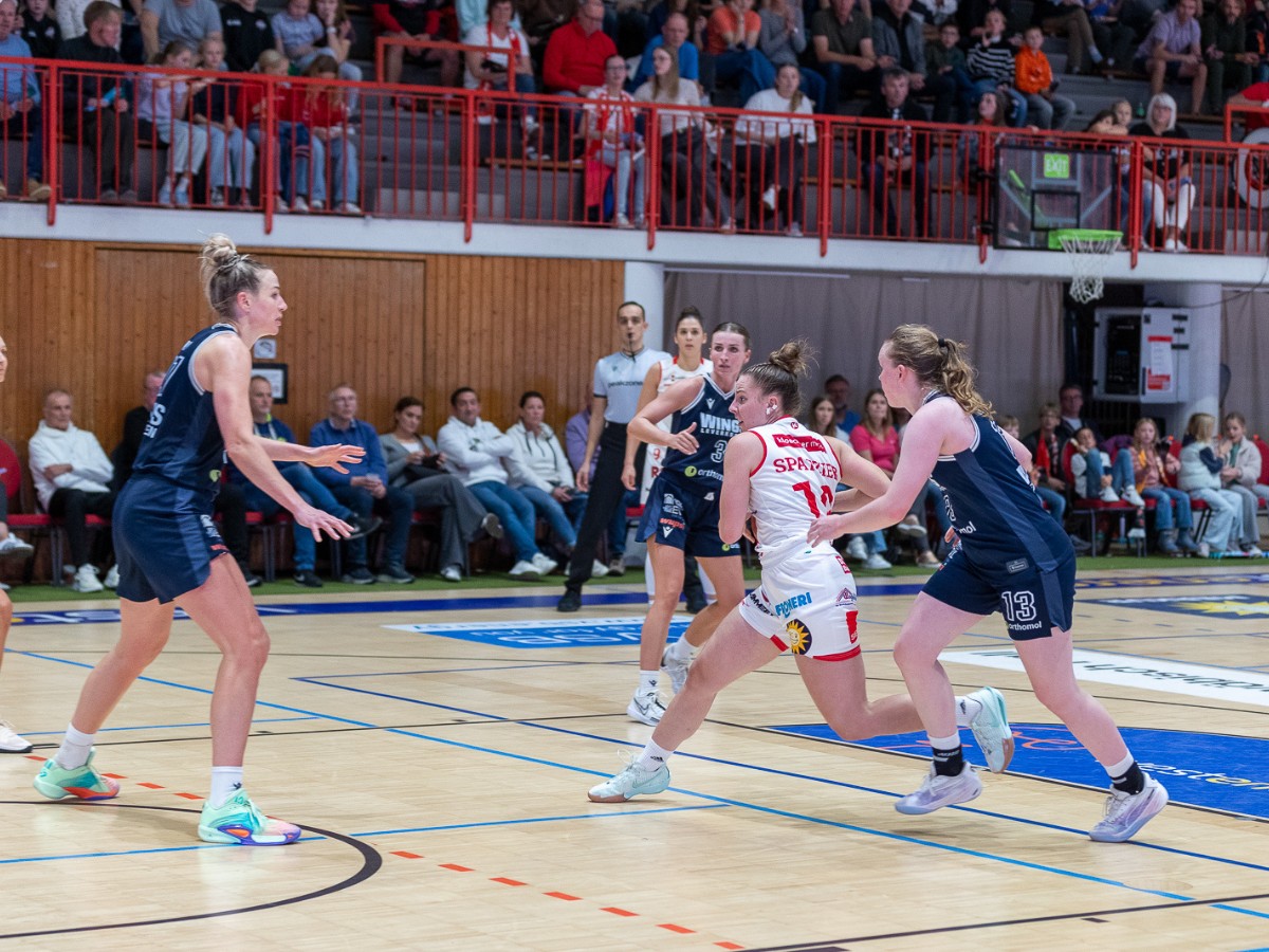 GiroLive-Panthers vs. Wings Leverkusen / Foto: Alexander Reinhard