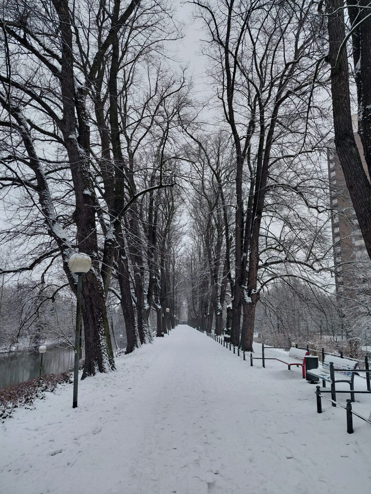Verschneiter Fußweg an der Hase / Foto: Justus Hanneken