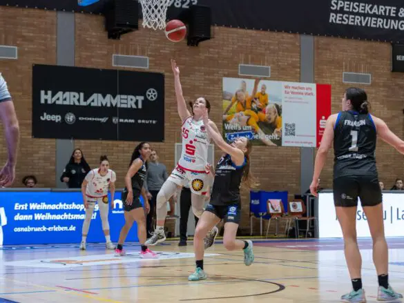 GiroLive Panthers vs. Eigner Angels Nördlingen
