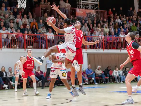 GiroLive-Panthers vs. TC Herne 1880. / Foto: Alexander Reinhard in Osnabrück (Gesamtstadt)