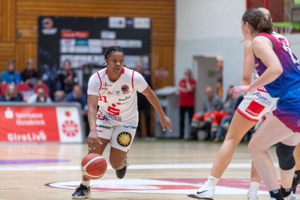 GiroLive-Panthers gegen Nördlingen