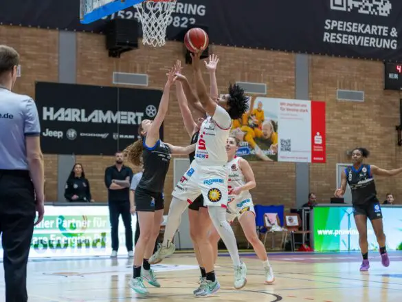 GiroLive Panthers vs. Eigner Angels Nördlingen