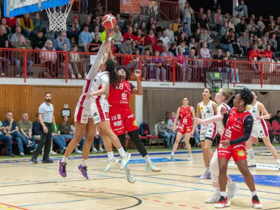 GiroLive Panthers vs. TK Luchse Hannover (2. Spiel der Playoffs)