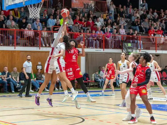 GiroLive Panthers vs. TK Luchse Hannover (2. Spiel der Playoffs)