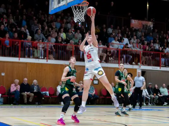 GiroLive Panthers Osnabrück vs. Rutronik Stars Keltern