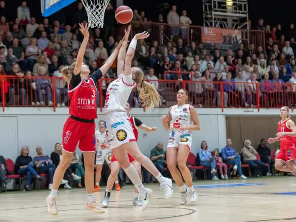 GiroLive-Panthers vs. TC Herne 1880. / Foto: Alexander Reinhard in Osnabrück (Gesamtstadt)