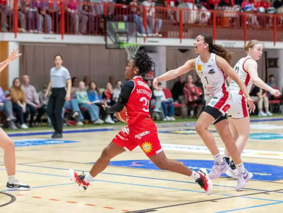 GiroLive Panthers vs. TK Luchse Hannover (2. Spiel der Playoffs)