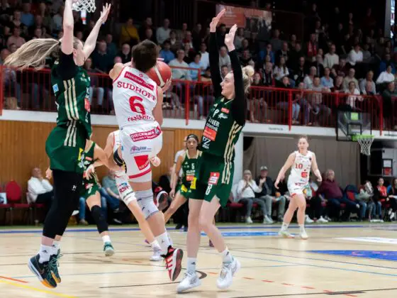 GiroLive Panthers Osnabrück vs. Rutronik Stars Keltern