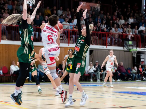 GiroLive Panthers Osnabrück vs. Rutronik Stars Keltern