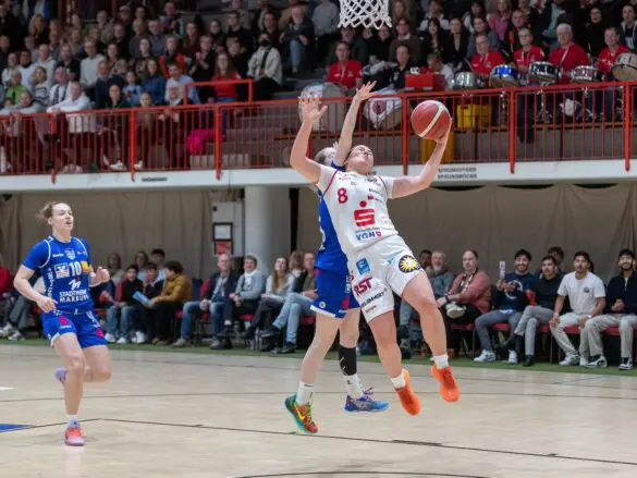 GiroLive Panthers vs. BC Pharmaserv Marburg Blue Dolphins am 26.10.2025. / Foto: Alexander Reinhard