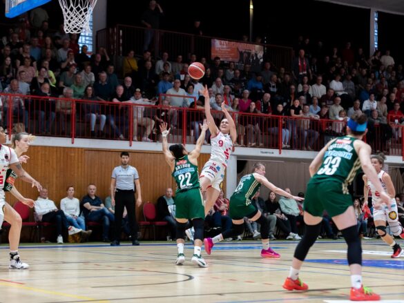 GiroLive Panthers Osnabrück vs. Rutronik Stars Keltern