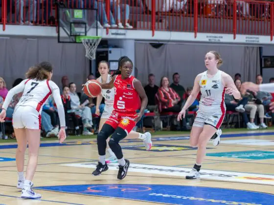 GiroLive Panthers vs. TK Luchse Hannover (2. Spiel der Playoffs)